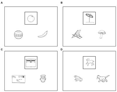 Anterior Temporal Lobe Morphometry Predicts Categorization Ability